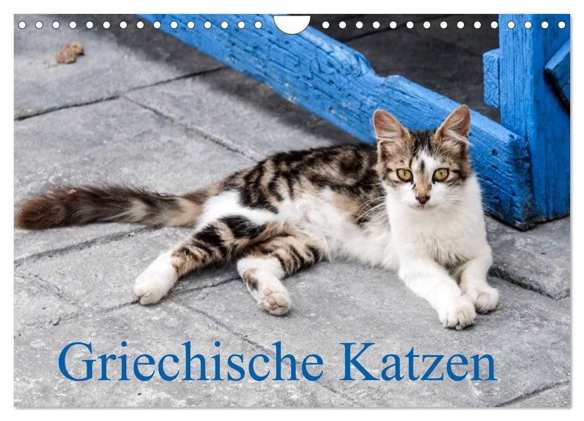 Griechische Katzen (Wandkalender 2026 DIN A4 quer) CALVENDO Monatskalender