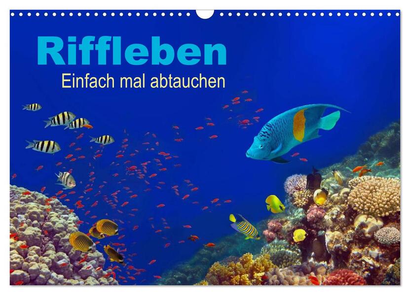 Riffleben - Einfach mal abtauchen (Wandkalender 2026 DIN A3 quer) CALVENDO Monatskalender