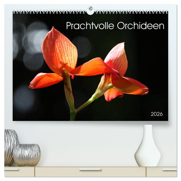 Prachtvolle Orchideen (hochwertiger Premium Wandkalender 2026 DIN A2 quer) Kunstdruck in Hochglanz