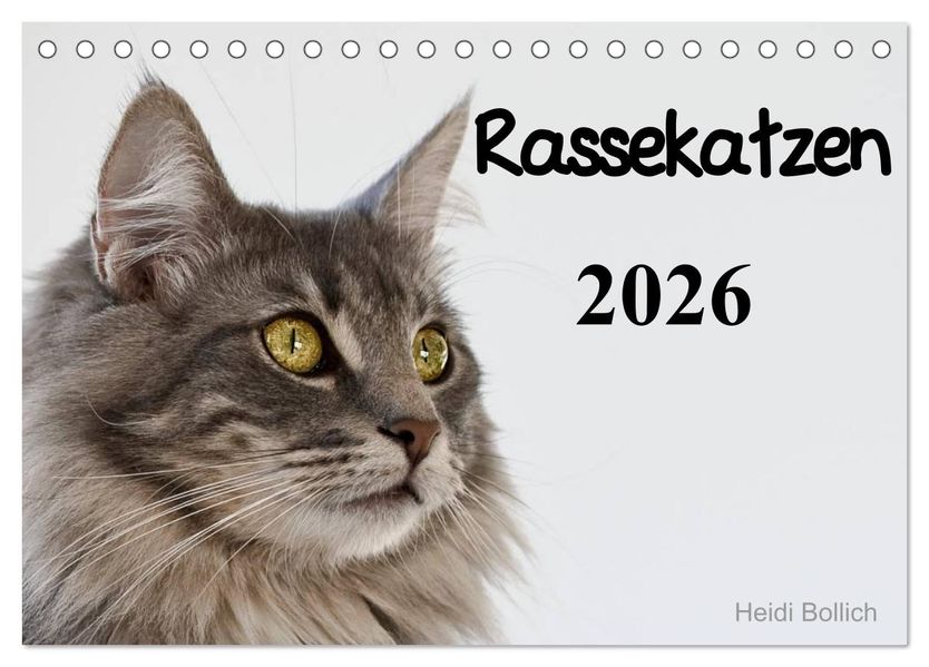 Rassekatzen 2026 (Tischkalender 2026 DIN A5 quer) CALVENDO Monatskalender