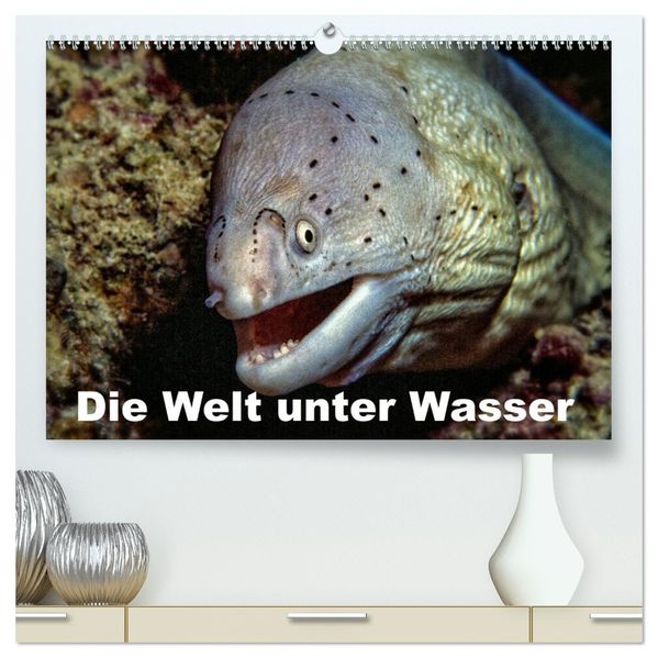 Die Welt unter Wasser (hochwertiger Premium Wandkalender 2026 DIN A2 quer) Kunstdruck in Hochglanz