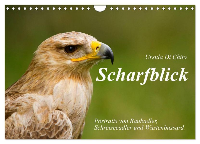 Scharfblick (Wandkalender 2026 DIN A4 quer) CALVENDO Monatskalender