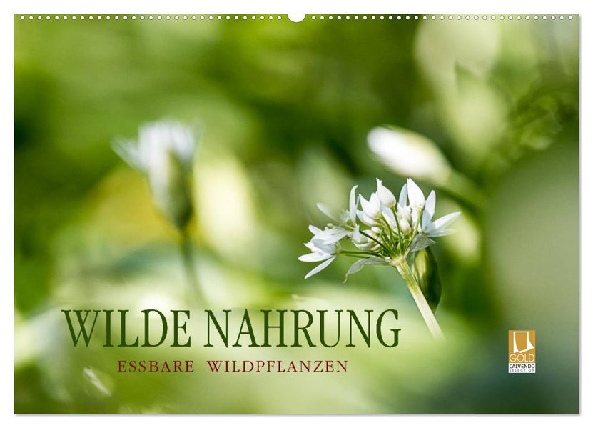WILDE NAHRUNG (Wandkalender 2026 DIN A2 quer) CALVENDO Monatskalender