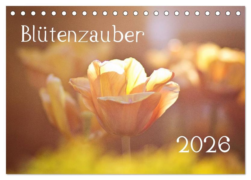 Blütenzauber 2026 (Tischkalender 2026 DIN A5 quer) CALVENDO Monatskalender