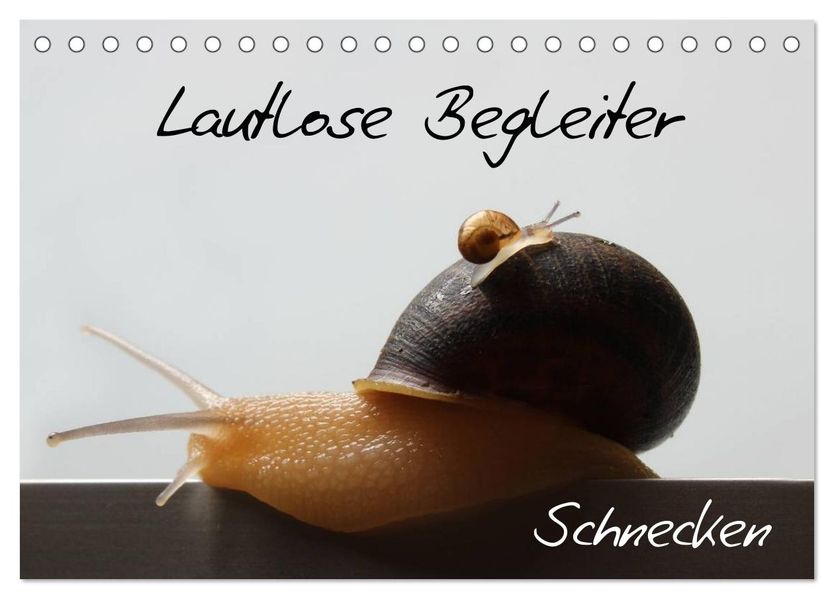 Lautlose Begleiter - Schnecken (Tischkalender 2026 DIN A5 quer) CALVENDO Monatskalender