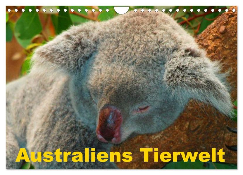 Australiens Tierwelt (Wandkalender 2026 DIN A4 quer) CALVENDO Monatskalender