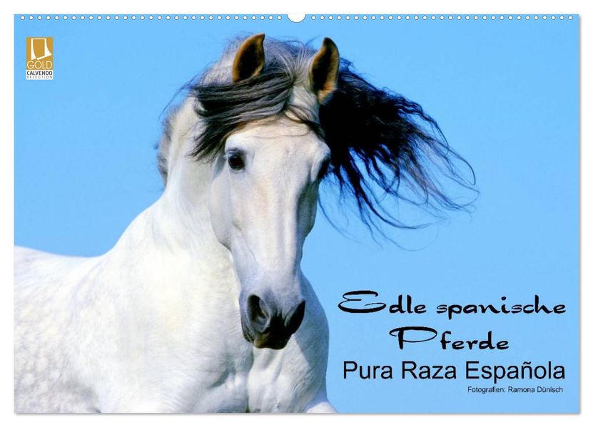 Edle spanische Pferde - Pura Raza Espanola (Wandkalender 2026 DIN A2 quer) CALVENDO Monatskalender