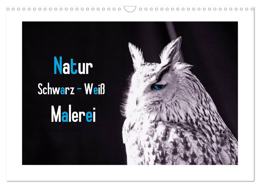 Natur schwarz - weiß Malerei (Wandkalender 2026 DIN A3 quer) CALVENDO Monatskalender