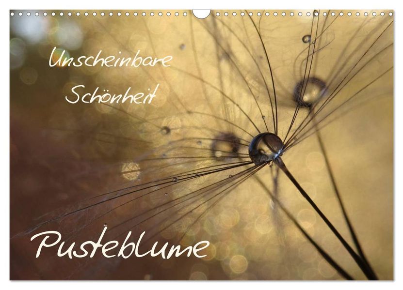 Unscheinbare Schönheit - Pusteblume (Wandkalender 2026 DIN A3 quer) CALVENDO Monatskalender