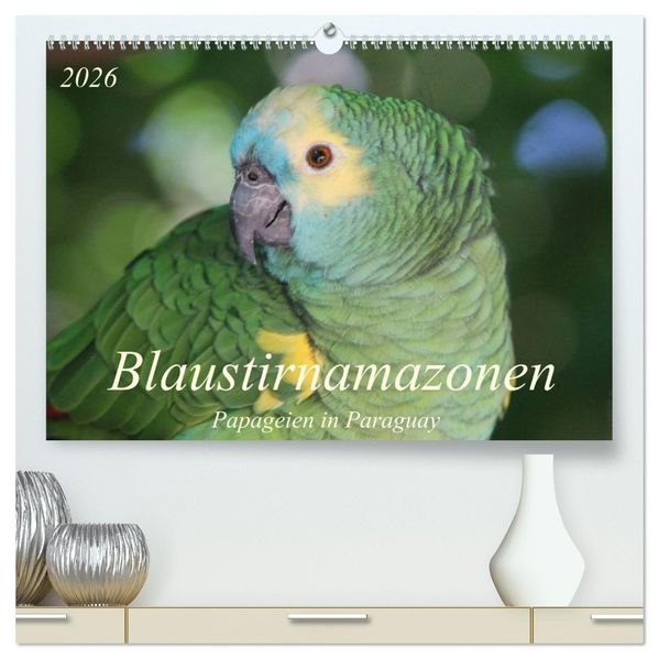 Blaustirnamazonen - Papageien in Paraguay (hochwertiger Premium Wandkalender 2026 DIN A2 quer) Kunstdruck in Hochglanz