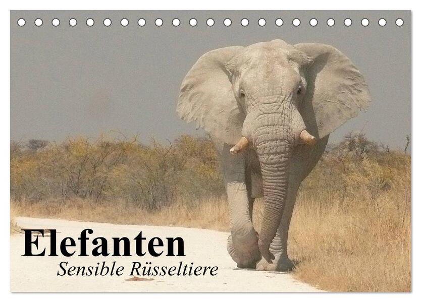 Elefanten. Sensible Rüsseltiere (Tischkalender 2026 DIN A5 quer) CALVENDO Monatskalender