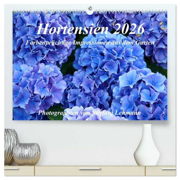 Hortensien 2026. Farbenprächtige Impressionen aus dem Garten (hochwertiger Premium Wandkalender 2026 DIN A2 quer) Kunstdruck in Hochglanz