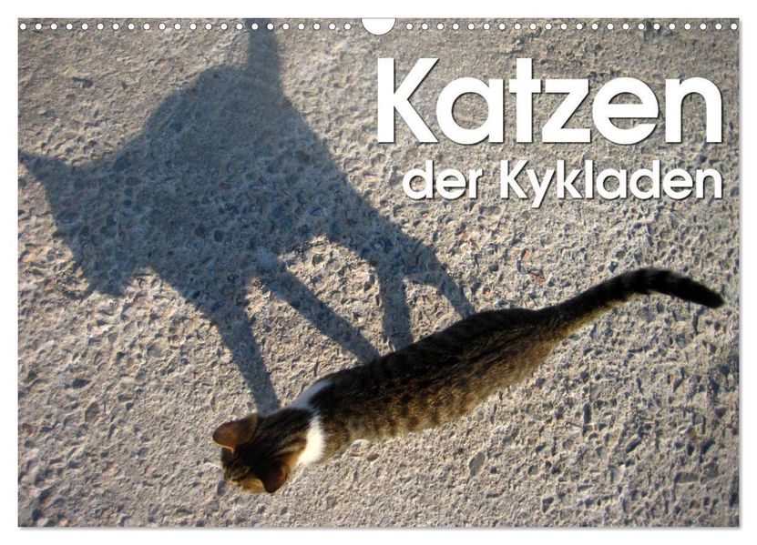 Katzen der Kykladen (Wandkalender 2026 DIN A3 quer) CALVENDO Monatskalender