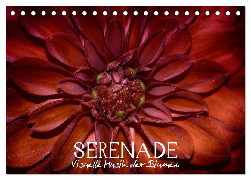 Serenade - Visuelle Musik der Blumen (Tischkalender 2026 DIN A5 quer) CALVENDO Monatskalender