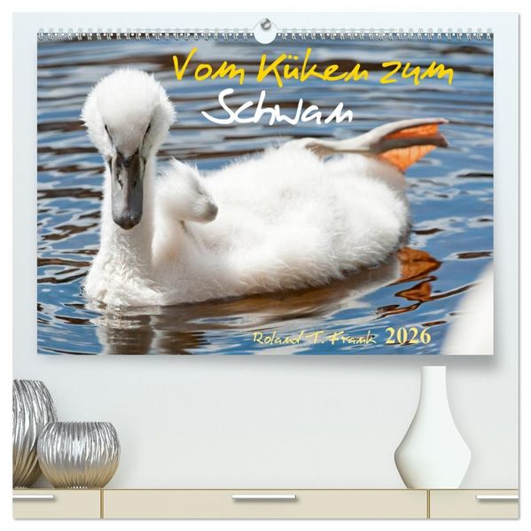 Vom Küken zum Schwan (hochwertiger Premium Wandkalender 2026 DIN A2 quer) Kunstdruck in Hochglanz