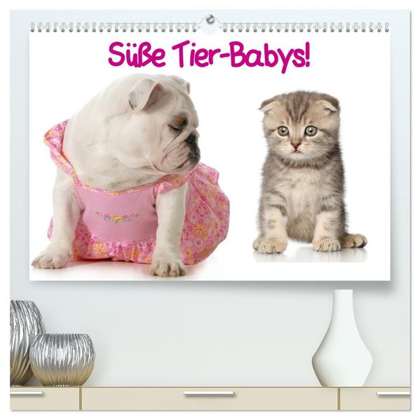 Süße Tier-Babys! (hochwertiger Premium Wandkalender 2026 DIN A2 quer) Kunstdruck in Hochglanz