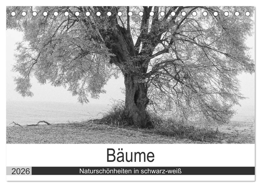 Bäume - Naturschönheiten in schwarz-weiß (Tischkalender 2026 DIN A5 quer) CALVENDO Monatskalender