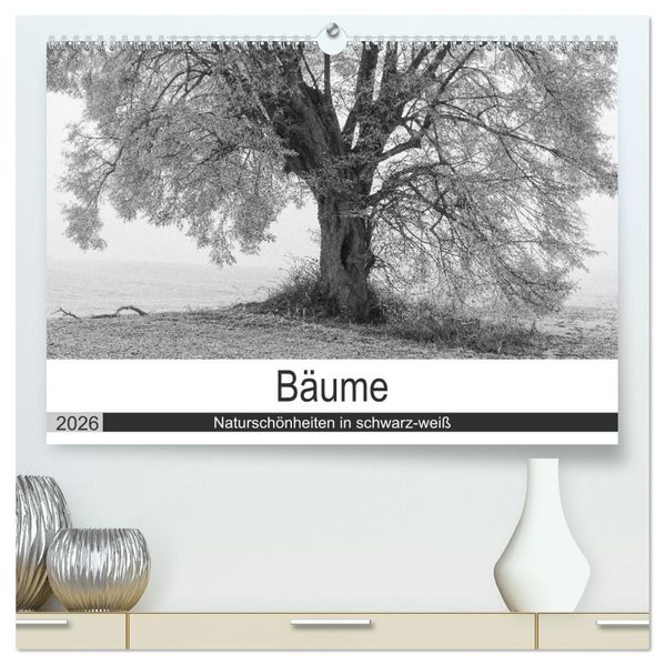 Bäume - Naturschönheiten in schwarz-weiß (hochwertiger Premium Wandkalender 2026 DIN A2 quer) Kunstdruck in Hochglanz