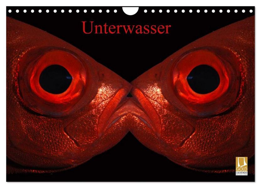 Unterwasser (Wandkalender 2026 DIN A4 quer) CALVENDO Monatskalender
