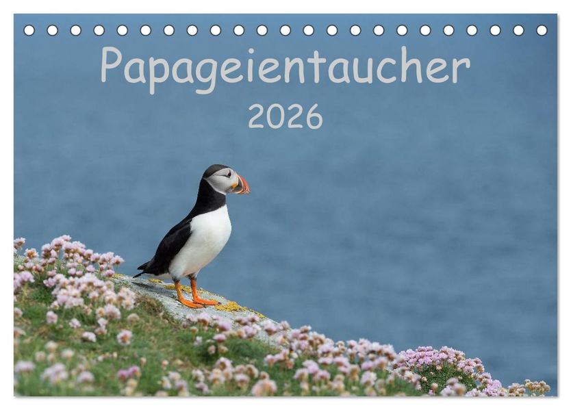 Papageientaucher 2026 (Tischkalender 2026 DIN A5 quer) CALVENDO Monatskalender