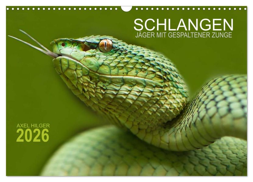 SCHLANGEN. JÄGER MIT GESPALTENER ZUNGE (Wandkalender 2026 DIN A3 quer) CALVENDO Monatskalender