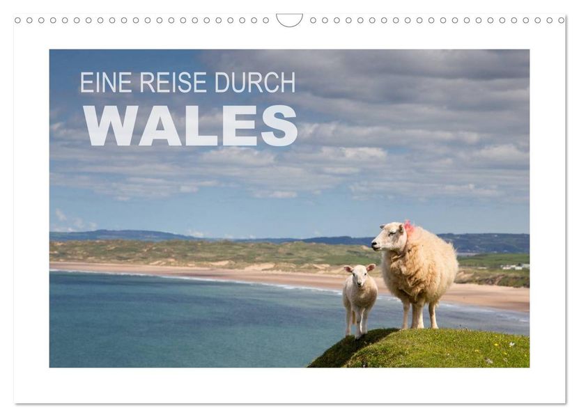 Eine Reise durch Wales (Wandkalender 2026 DIN A3 quer) CALVENDO Monatskalender