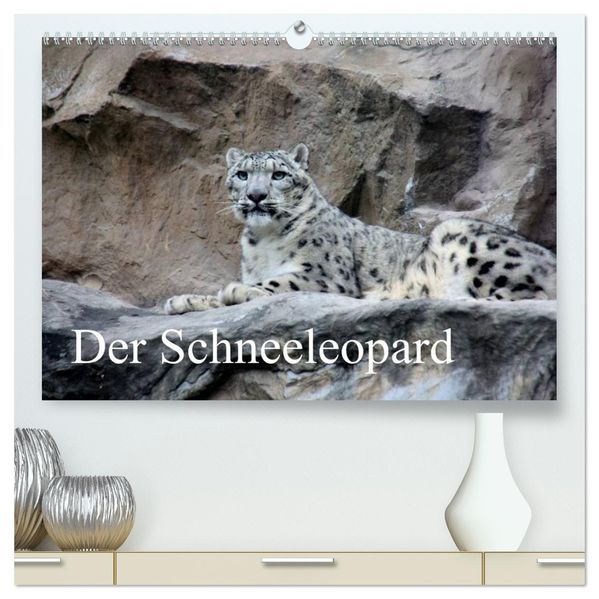 Der Schneeleopard (hochwertiger Premium Wandkalender 2026 DIN A2 quer) Kunstdruck in Hochglanz