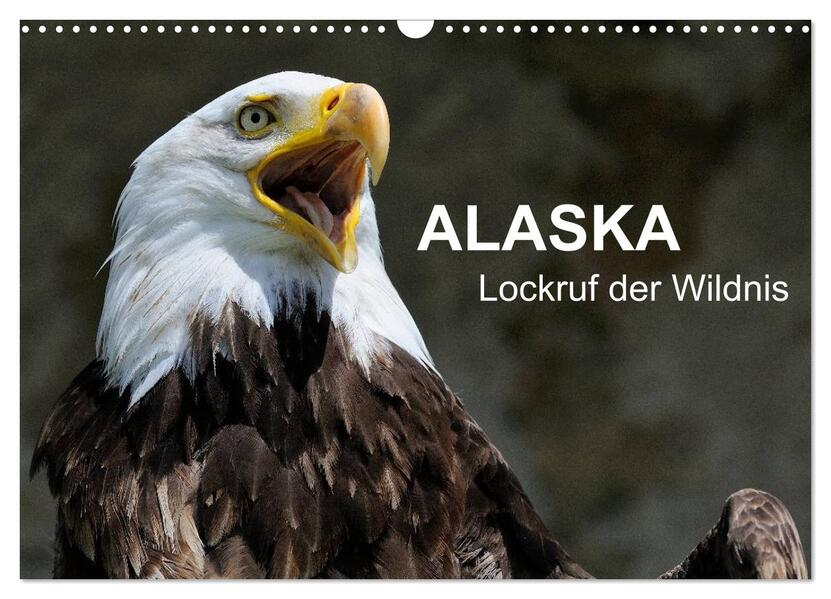 Alaska - Lockruf der Wildnis (Wandkalender 2026 DIN A3 quer) CALVENDO Monatskalender