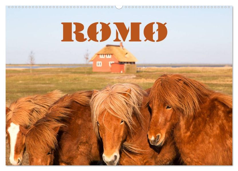 Rømø (Wandkalender 2026 DIN A2 quer) CALVENDO Monatskalender