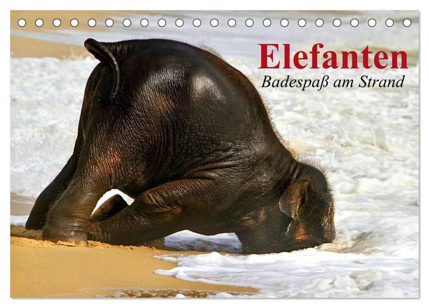 Elefanten. Badespaß am Strand (Tischkalender 2026 DIN A5 quer) CALVENDO Monatskalender