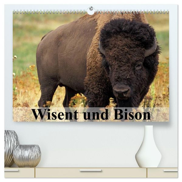 Wisent und Bison (hochwertiger Premium Wandkalender 2026 DIN A2 quer) Kunstdruck in Hochglanz