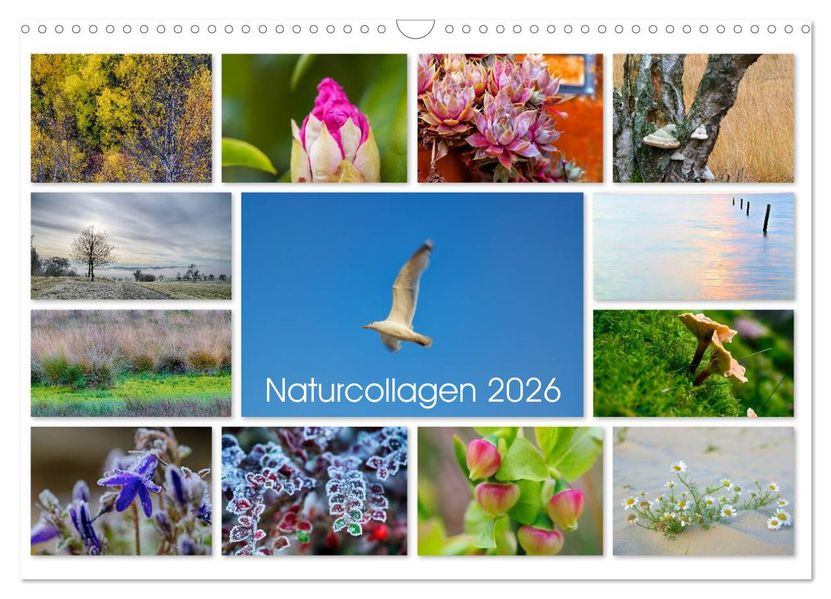 Naturcollagen 2026 (Wandkalender 2026 DIN A3 quer) CALVENDO Monatskalender