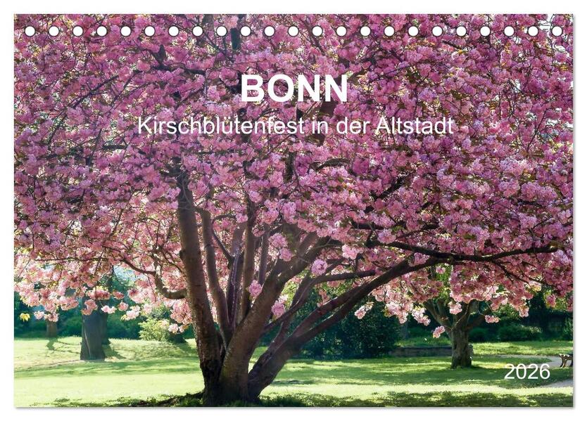 Bonn - Kirschblütenfest in der Altstadt (Tischkalender 2026 DIN A5 quer) CALVENDO Monatskalender