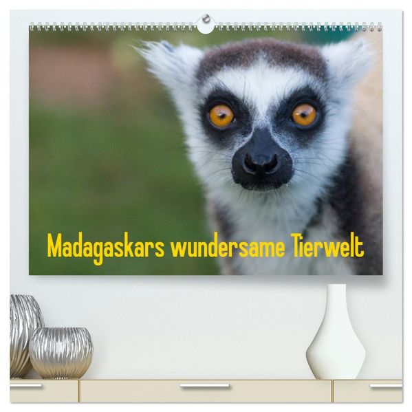 Madagaskars wundersame Tierwelt (hochwertiger Premium Wandkalender 2026 DIN A2 quer) Kunstdruck in Hochglanz