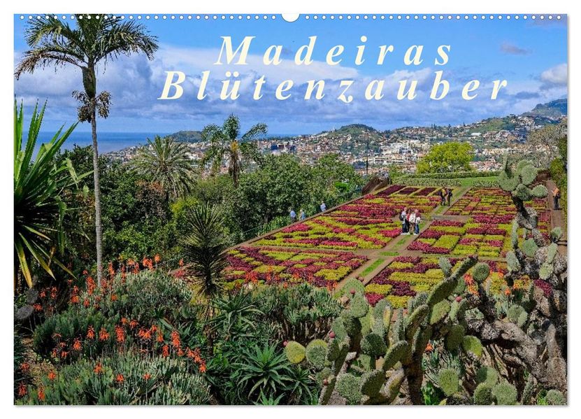 Madeiras Blütenzauber (Wandkalender 2026 DIN A2 quer) CALVENDO Monatskalender