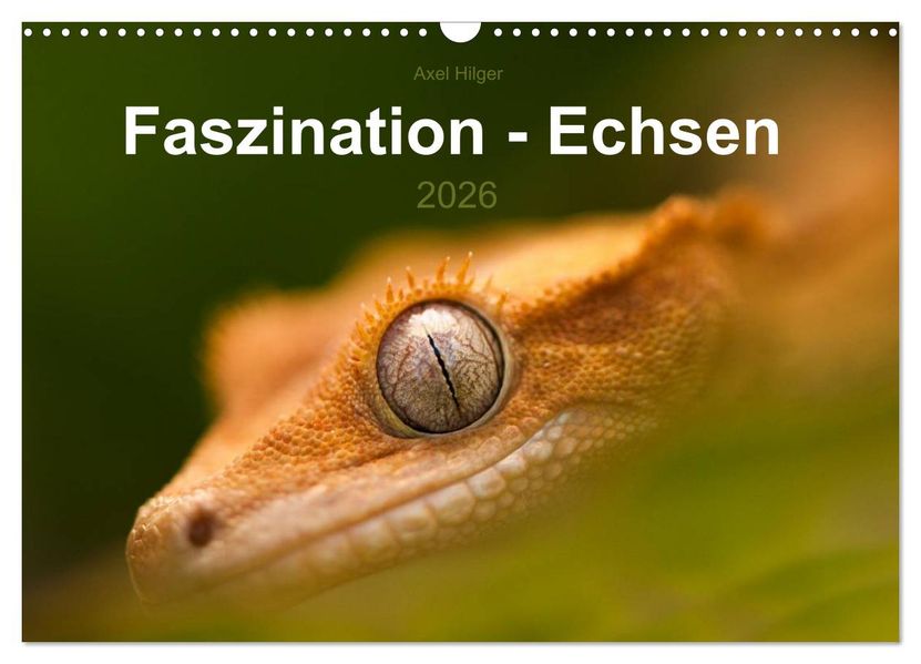 Faszination - Echsen (Wandkalender 2026 DIN A3 quer) CALVENDO Monatskalender