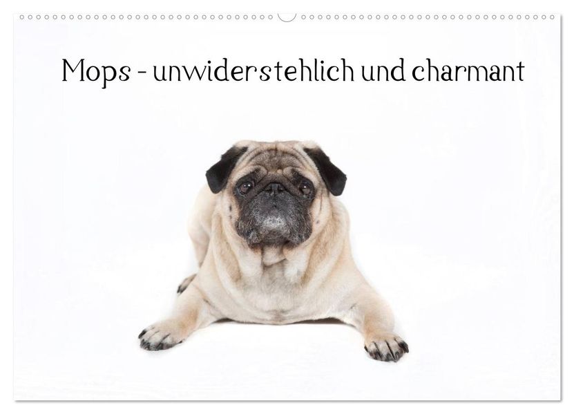 Mops - unwiderstehlich und charmant (Wandkalender 2026 DIN A2 quer) CALVENDO Monatskalender