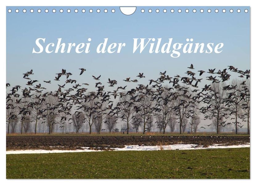 Schrei der Wildgänse (Wandkalender 2026 DIN A4 quer) CALVENDO Monatskalender