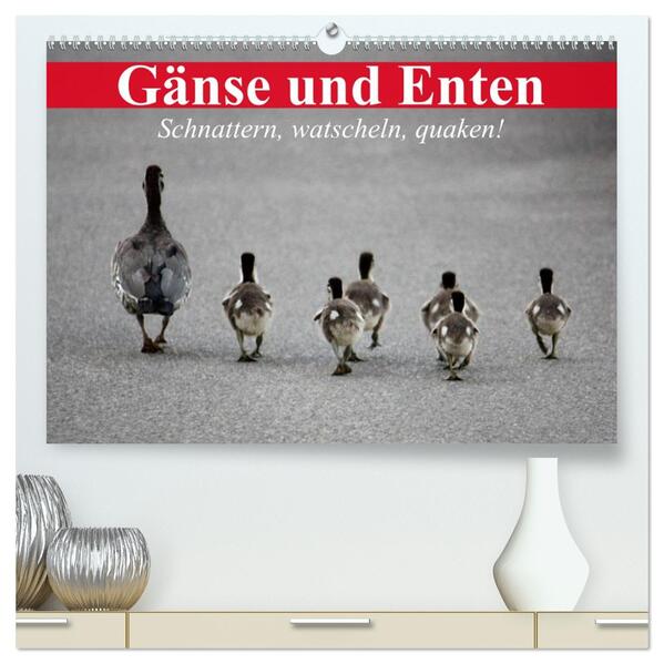 Gänse und Enten. Schnattern watscheln quaken! (hochwertiger Premium Wandkalender 2026 DIN A2 quer) Kunstdruck in Hochglanz