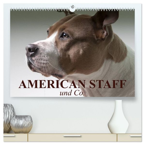 American Staff und Co. (hochwertiger Premium Wandkalender 2026 DIN A2 quer) Kunstdruck in Hochglanz