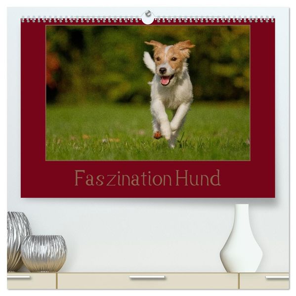 Faszination Hund (hochwertiger Premium Wandkalender 2026 DIN A2 quer) Kunstdruck in Hochglanz