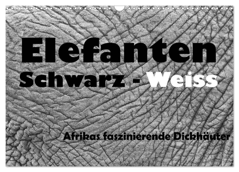 Elefanten Schwarz - Weiss (Wandkalender 2026 DIN A3 quer) CALVENDO Monatskalender