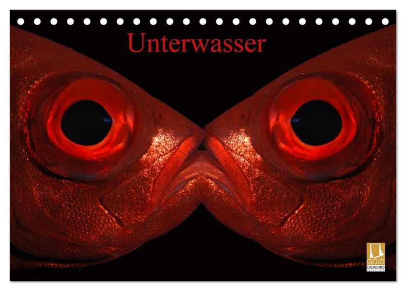 Unterwasser (Tischkalender 2026 DIN A5 quer) CALVENDO Monatskalender