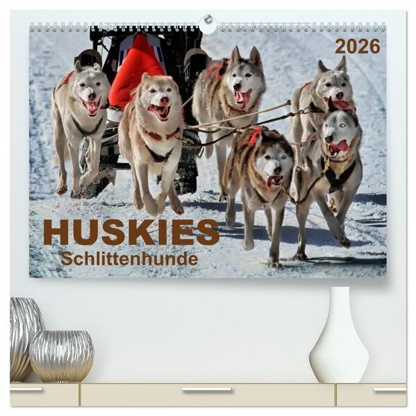 Huskies - Schlittenhunde (hochwertiger Premium Wandkalender 2026 DIN A2 quer) Kunstdruck in Hochglanz