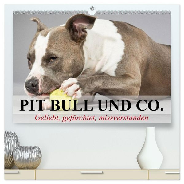 Pit Bull und Co. - Geliebt gefürchtet missverstanden (hochwertiger Premium Wandkalender 2026 DIN A2 quer) Kunstdruck in Hochglanz