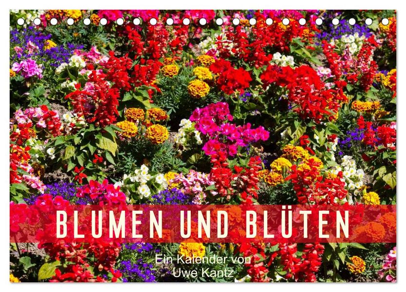 Blumen und Blüten (Tischkalender 2026 DIN A5 quer) CALVENDO Monatskalender