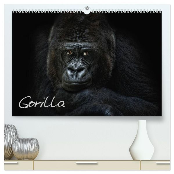 Gorilla (hochwertiger Premium Wandkalender 2026 DIN A2 quer) Kunstdruck in Hochglanz