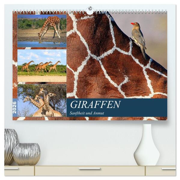 Giraffen - Sanftheit und Anmut (hochwertiger Premium Wandkalender 2026 DIN A2 quer) Kunstdruck in Hochglanz