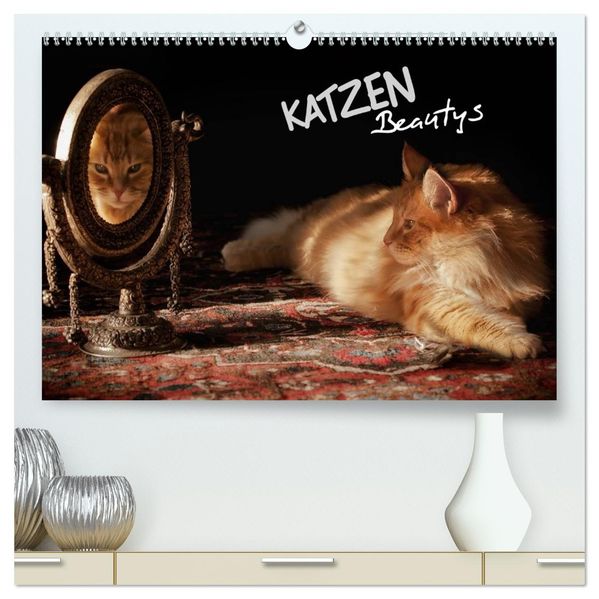 KATZEN Beautys (hochwertiger Premium Wandkalender 2026 DIN A2 quer) Kunstdruck in Hochglanz