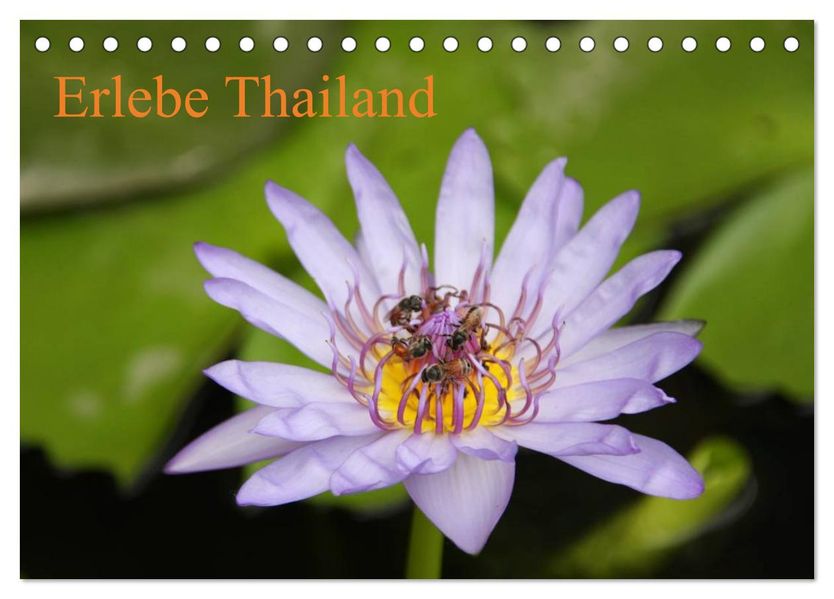 Erlebe Thailand (Tischkalender 2026 DIN A5 quer) CALVENDO Monatskalender